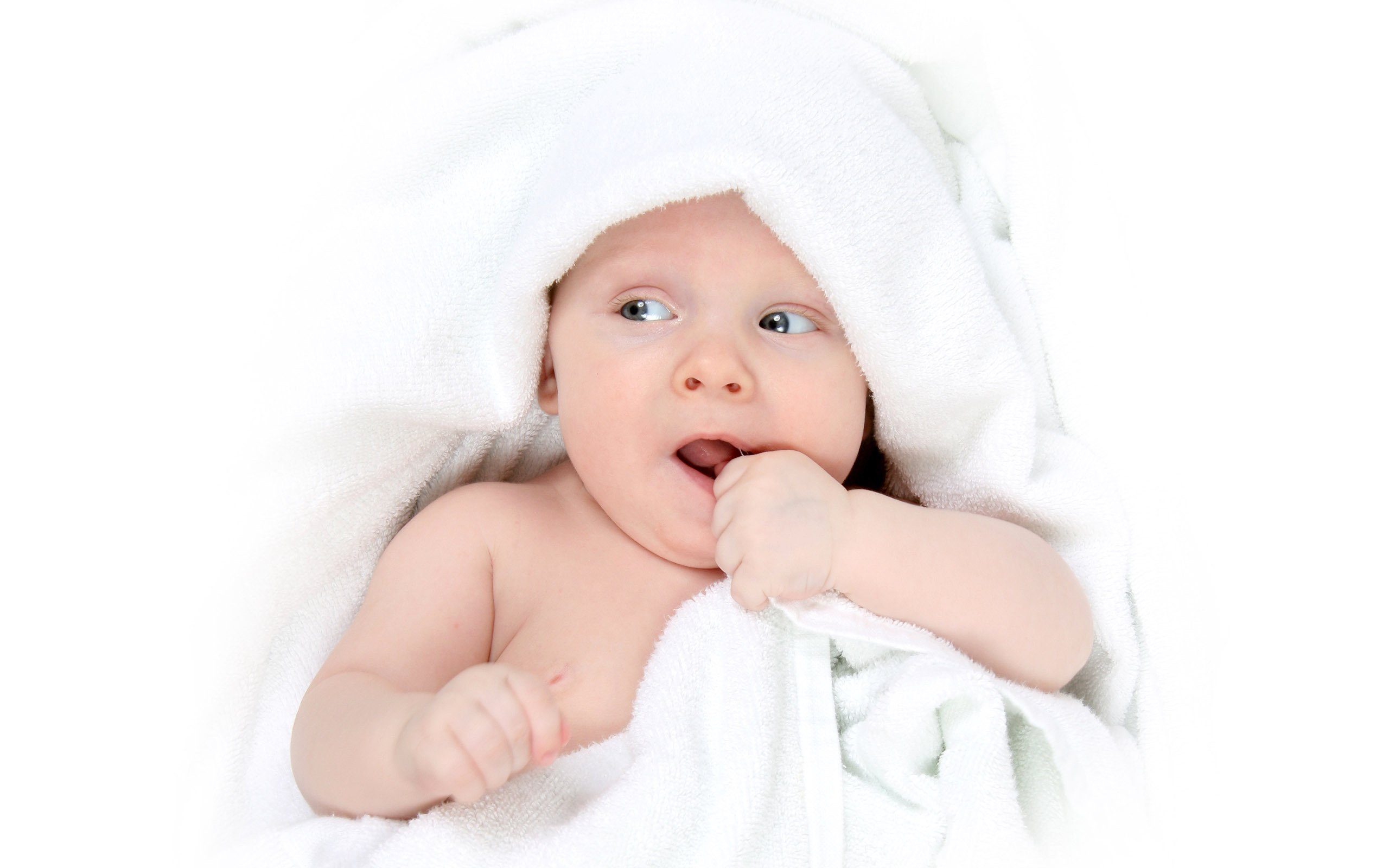哈尔滨供卵代怀人工授精囊胚的成功率